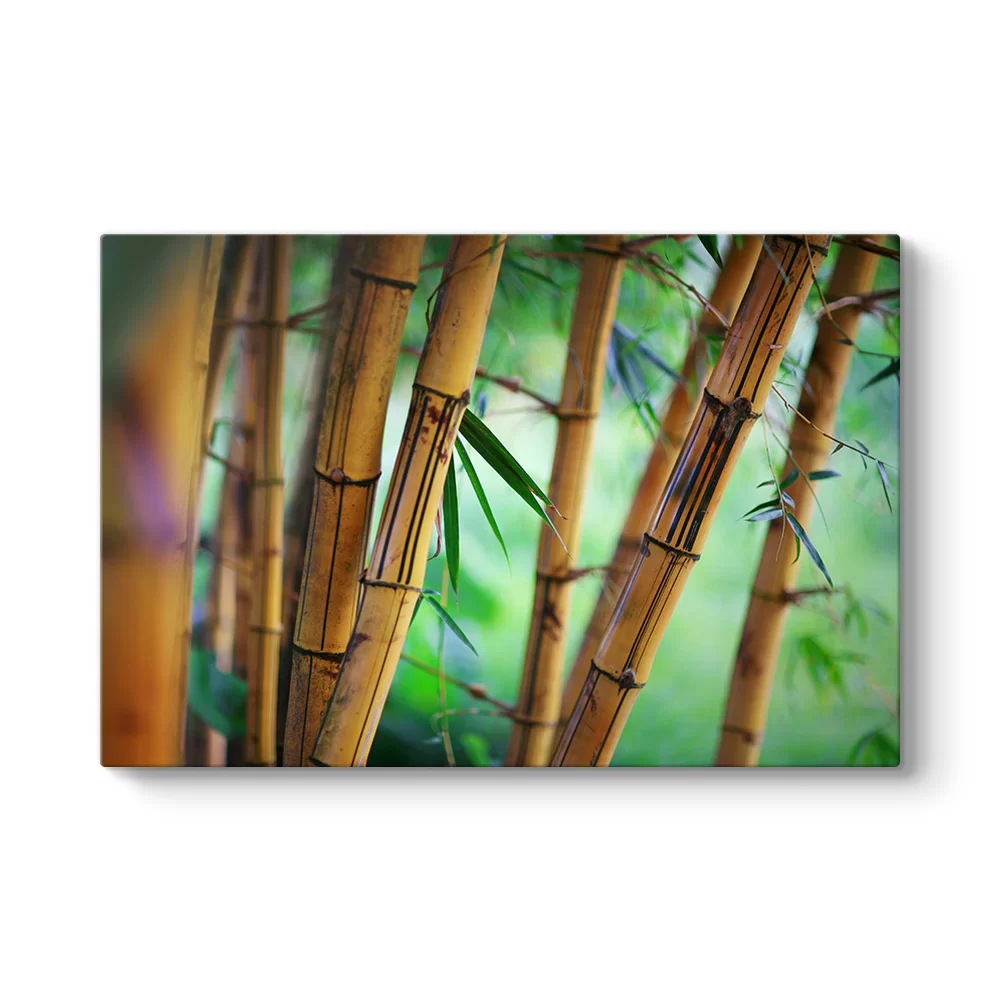 Bambu Ağaçları Tablosu - Model 1